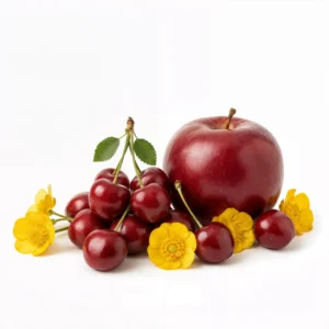 Ethiopia Yirgacheffe Gedeb